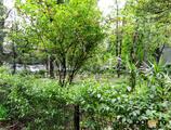 Proprietăți rezidențiale de închiriat în Închiriere apartament 4 camere |Parcare inclusa | Domenii, Casin
