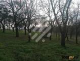 Proprietăți rezidențiale de închiriat în Teren de vanzare in Valcele, cu utilitatile langa teren si o liniste deosebita!