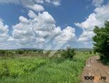 Proprietăți rezidențiale de închiriat în Teren 3,800mp Cluj-Napoca / Strada Soporului