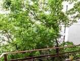 Proprietăți rezidențiale de închiriat în Inchiriere apartament 3 camere I Premium, Renovat 2021 I Luca Stroici, Icoanei