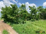 Proprietăți rezidențiale de închiriat în Teren 3,800mp Cluj-Napoca / Strada Soporului