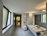 Proprietăți rezidențiale de închiriat în DUPLEX 4 CAMERE  || TERASA SPECTACULOASA || VEDERE IN PARCUL VERDI