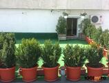 Proprietăți rezidențiale de închiriat în Apartament spatios cu 5 camere in Piata Alba Iulia!