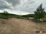 Proprietăți rezidențiale de închiriat în Proprietate in Feleac, la padure,  pe Valea Capriorii! Comision 0%!