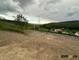 Proprietăți rezidențiale de închiriat în Proprietate in Feleac, la padure,  pe Valea Capriorii! Comision 0%!