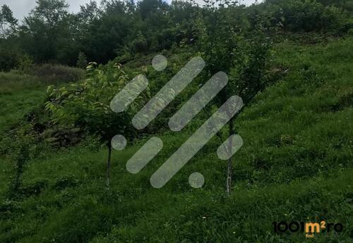 Proprietăți rezidențiale de închiriat în Teren intravilan - 5800 mp - ideal pt constructii, la 5 km de Cluj!