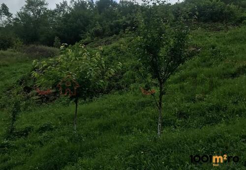 Proprietăți rezidențiale de închiriat în Teren intravilan - 5800 mp - ideal pt constructii, la 5 km de Cluj!