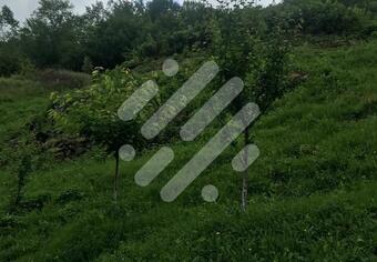 Teren intravilan - 5800 mp - ideal pt constructii, la 5 km de Cluj!
