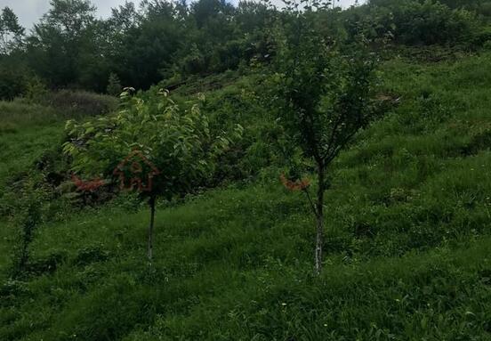Teren intravilan - 5800 mp - ideal pt constructii, la 5 km de Cluj!